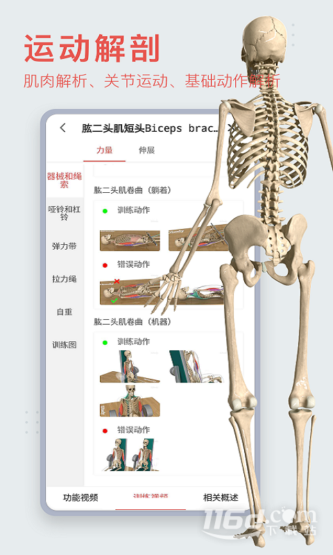 人体解剖学图集